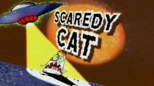 Scaredy Cat
