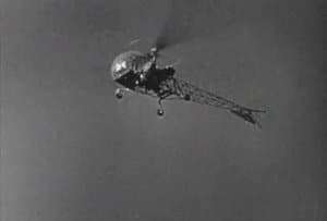 The Clampetts Strike Oil