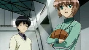 Mandarin Orange Meeting