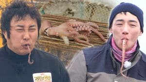 Survival Perfectionist EP 2