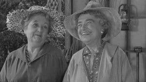 Alcohol and Old Lace