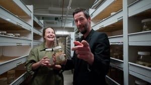 The Mind of Mattie Rodrigue, Oceanic Inspiration