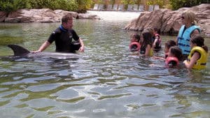 6th Birthday Surprise