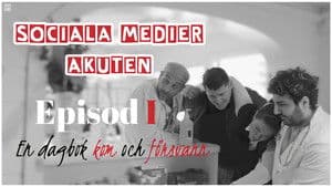 A Diary Came and Went