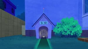 The Daily Life of CanCan