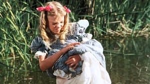 Town Party, Country Party