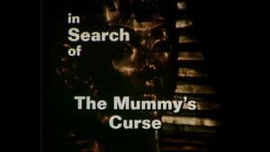 The Mummy's Curse