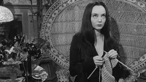 The Addams Family Goes to School