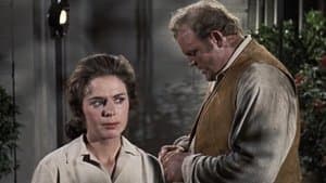 The Phillip Diedesheimer Story