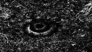 THE MISSING EYE OF JESUS CHRIST