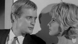 The Giuoco Piano Affair