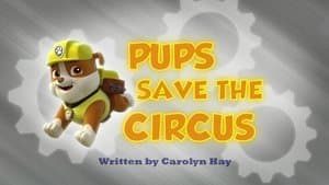 Pups Save the Circus