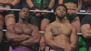 The Name Says It All