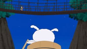 The Rope Bridge Rhapsody