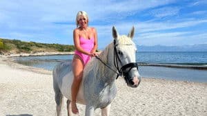 North Tenerife 2015 and Tarragona 2020