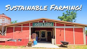 Sustainable Farming at Amy's Farm