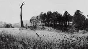 ROCKEFELLERTREETRAGEDY