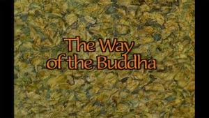 The Way of the Buddha